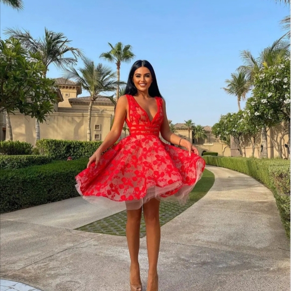 NWT Nadine Merabi Red Lola Lace Mini Dress Size S/M/4 - Picture 1 of 16